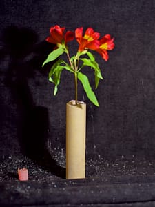 P1288223