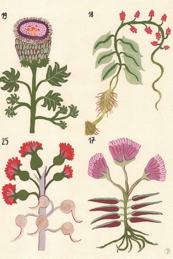 Voynich I