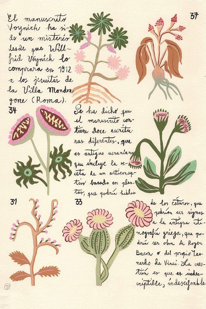Voynich II