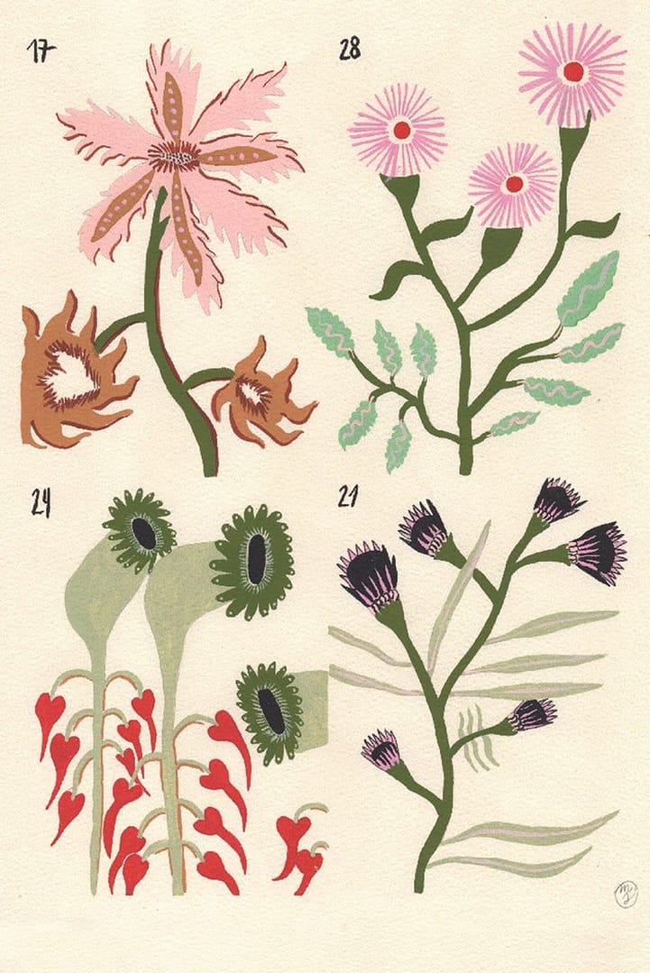 Voynich III