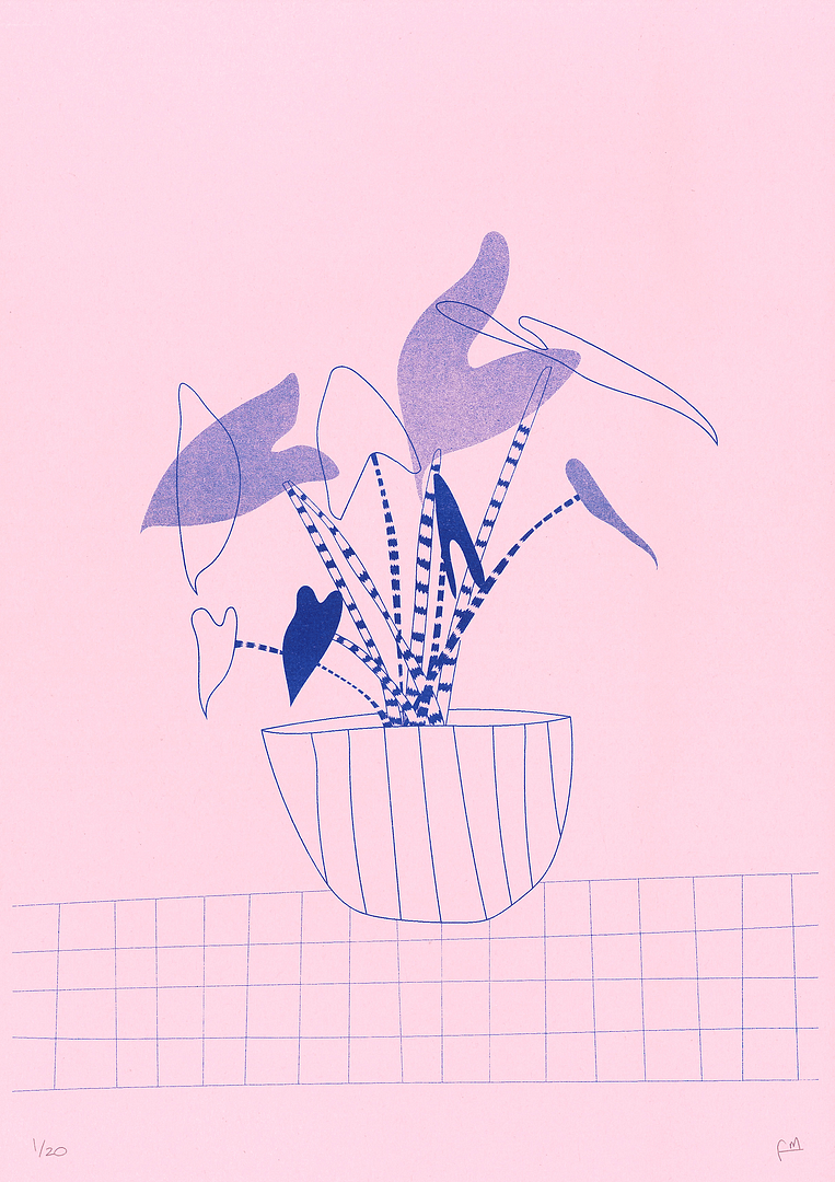 Alocasia Zebrina plant illustration inspired illustration, beautiful poster made by Fernanda Maria, a local artist originally from Chile and based in Barcelona