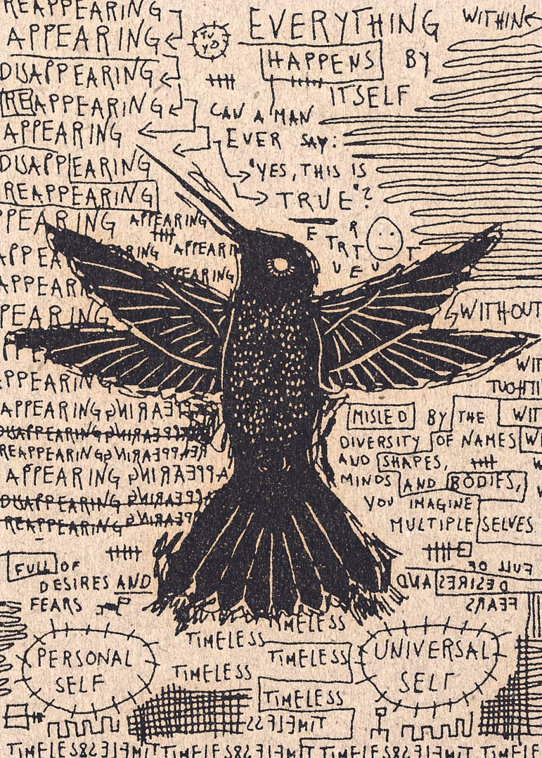 Tuyo Art, illustrator David Schmitt latinamerican vibe, hummingbird freedom art, affordable art
