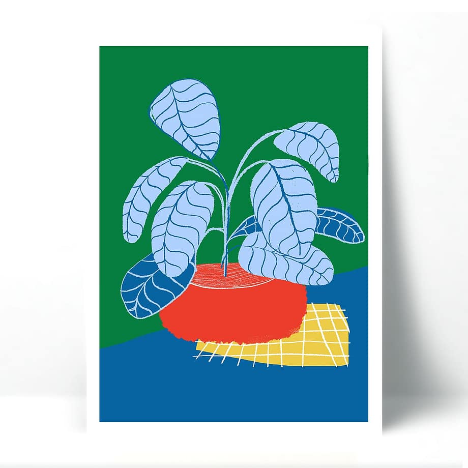 Planta 1