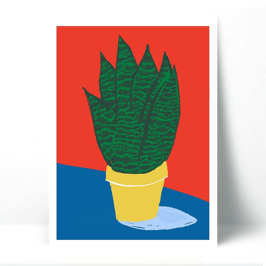 Planta 2